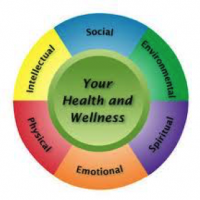 TimeWise Medical Receives Positive Feedback on Service and Quality